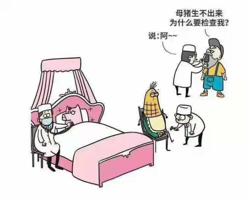 霉解清「可饮水的脱霉剂」