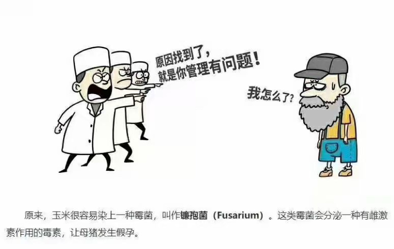 霉解清「可饮水的脱霉剂」