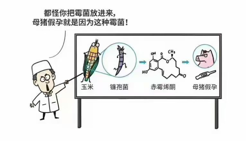 霉解清「可饮水的脱霉剂」
