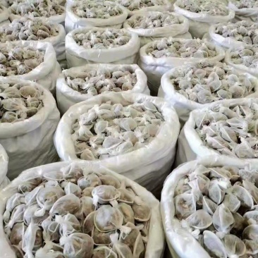 卤肉包，各种肉制品