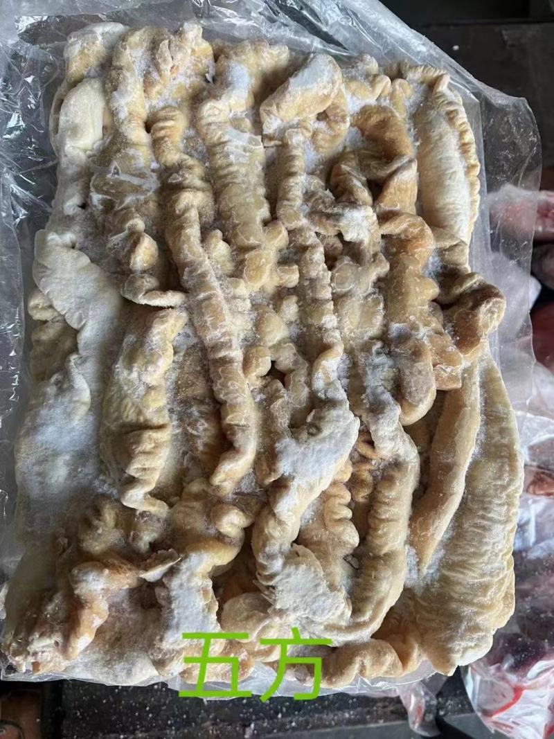 熟肥肠干货