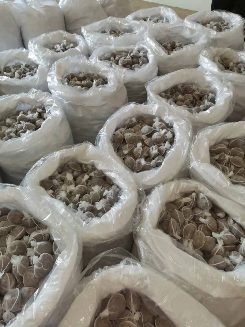 卤肉包，各种肉制品