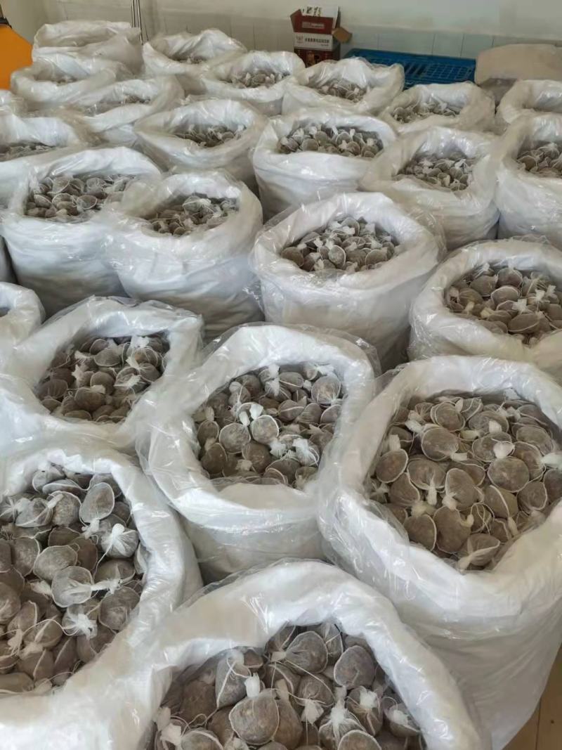 卤肉包，各种肉制品