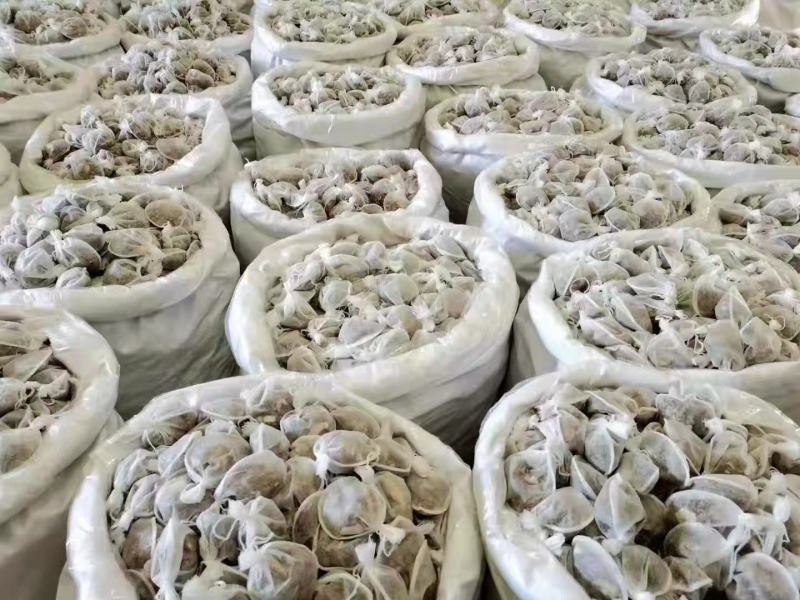 卤肉包，各种肉制品