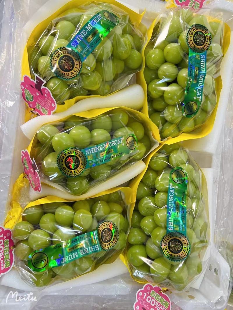 阳光玫瑰葡萄