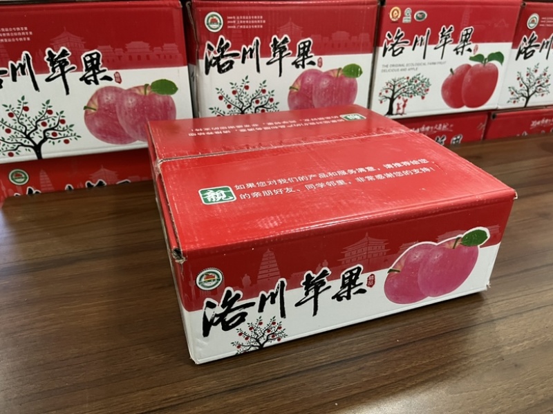 【礼盒】过年送礼洛川苹果红富士苹果现装现发福利送礼