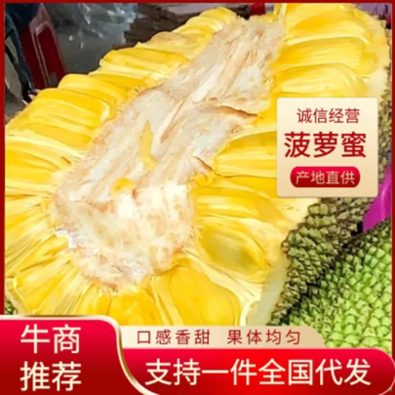 海南干苞黄肉菠萝蜜三亚水果批发新鲜整个包邮一件代发