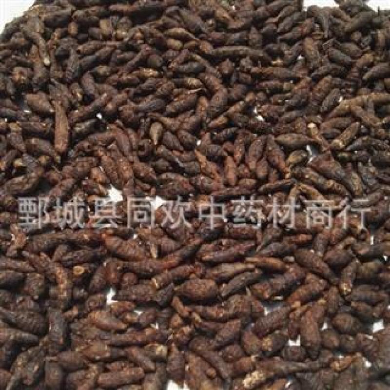 【选装生香附个】@【同欢药材】中药材批发供应