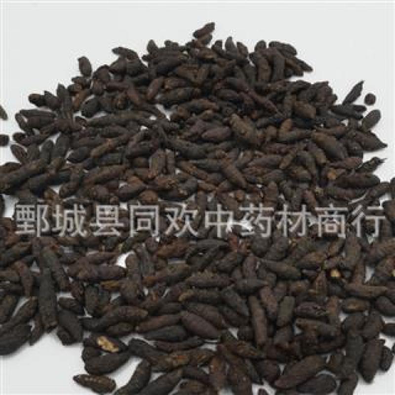 【炒香附个】@【同欢药材】中药材批发供应规格齐全