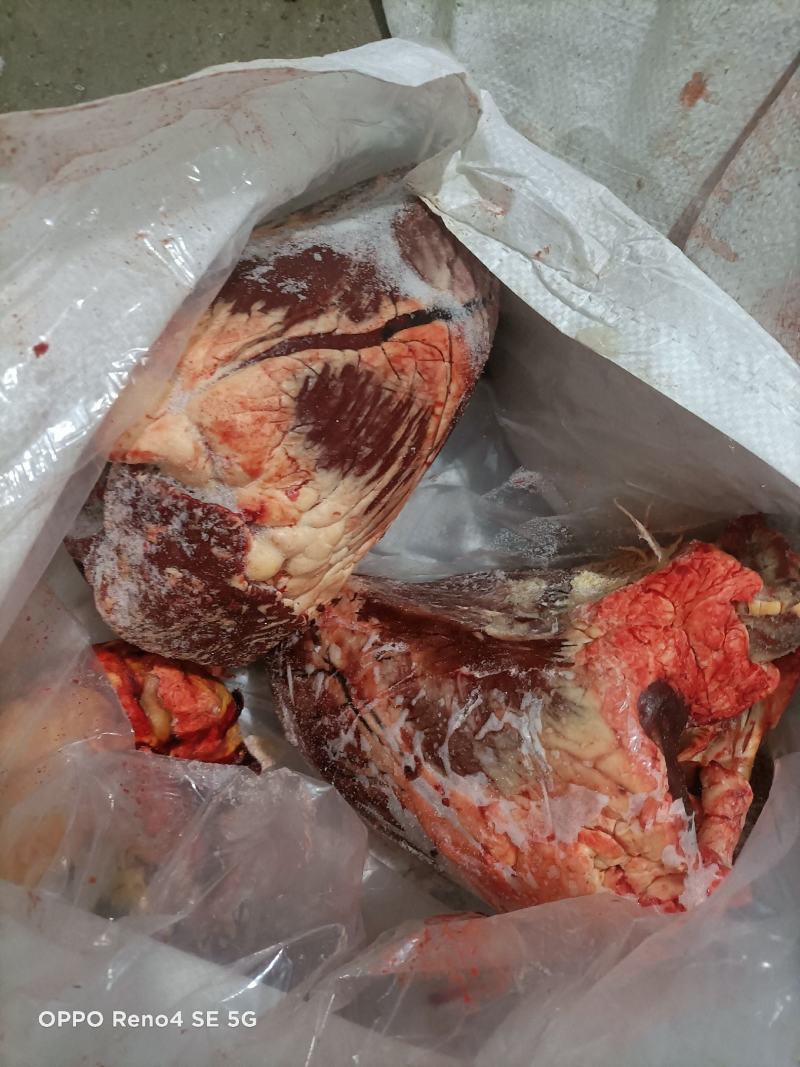 牛心，草地牛心，每个在3到5斤左右，一个一个