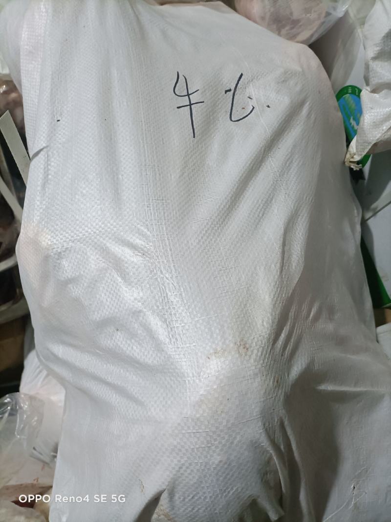 牛心，草地牛心，每个在3到5斤左右，一个一个