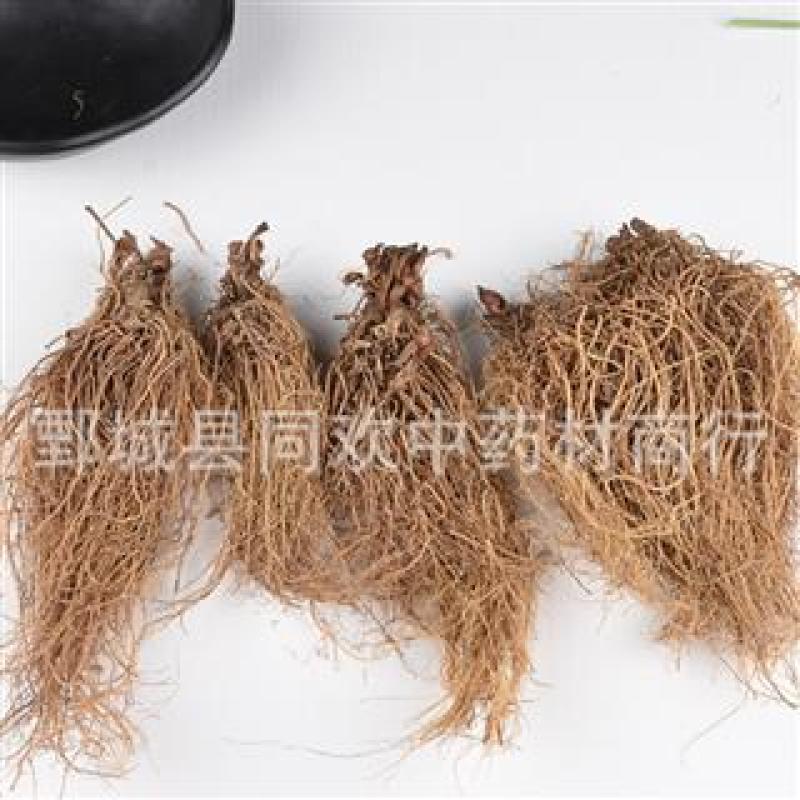 同欢药材批发供应无硫细辛好统货