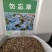 勿忘草花种子宿根多年生勿忘我种子盆栽耐寒易种花卉种子