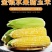 云南一件代发水果玉米金银水果玉米新鲜整箱食用香甜玉米非糯