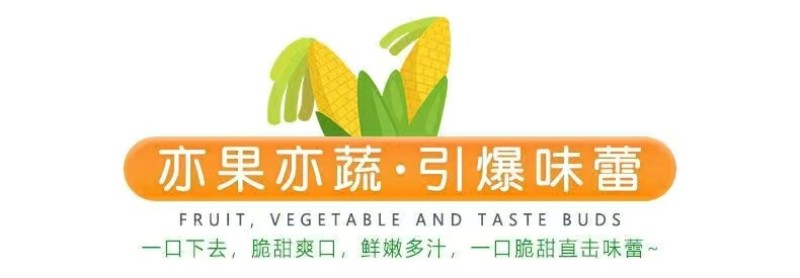 云南一件代发水果玉米金银水果玉米新鲜整箱食用香甜玉米非糯
