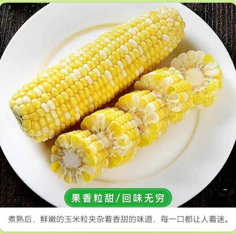 云南一件代发水果玉米金银水果玉米新鲜整箱食用香甜玉米非糯