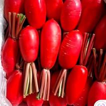 【精品】红皮萝卜萝卜实力供货一手货源量大全国发货
