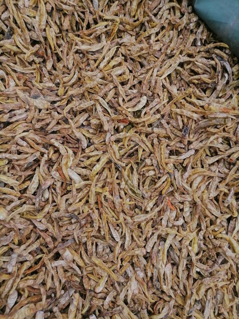 白辣椒青辣椒白辣椒一百斤起包邮物流自提