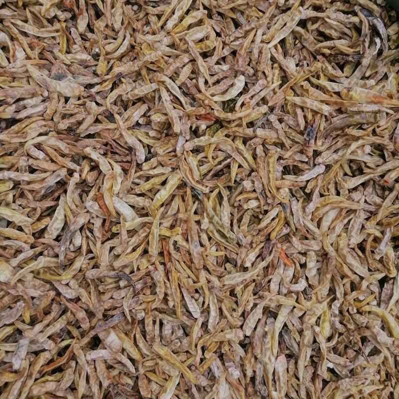 白辣椒青辣椒白辣椒一百斤起包邮物流自提
