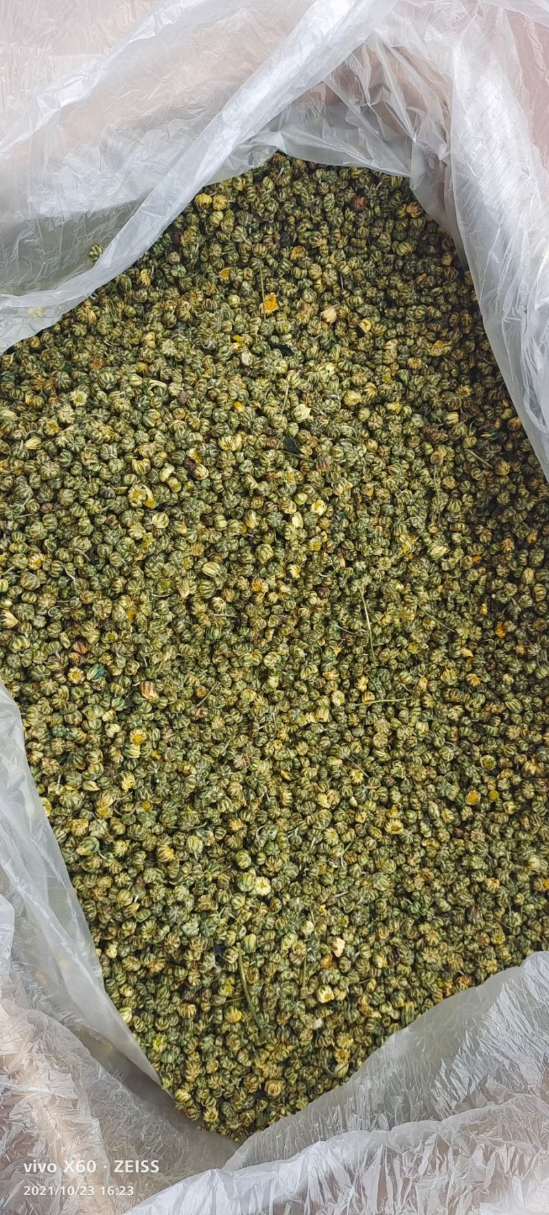2022年12月新货胎菊米胎菊王色靓味正无碎无杂大量现货