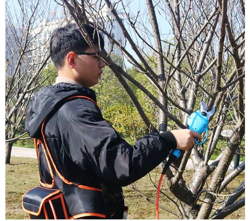 包邮果树剪刀电动剪园林园艺修剪机充电式果树枝修枝机剪枝机