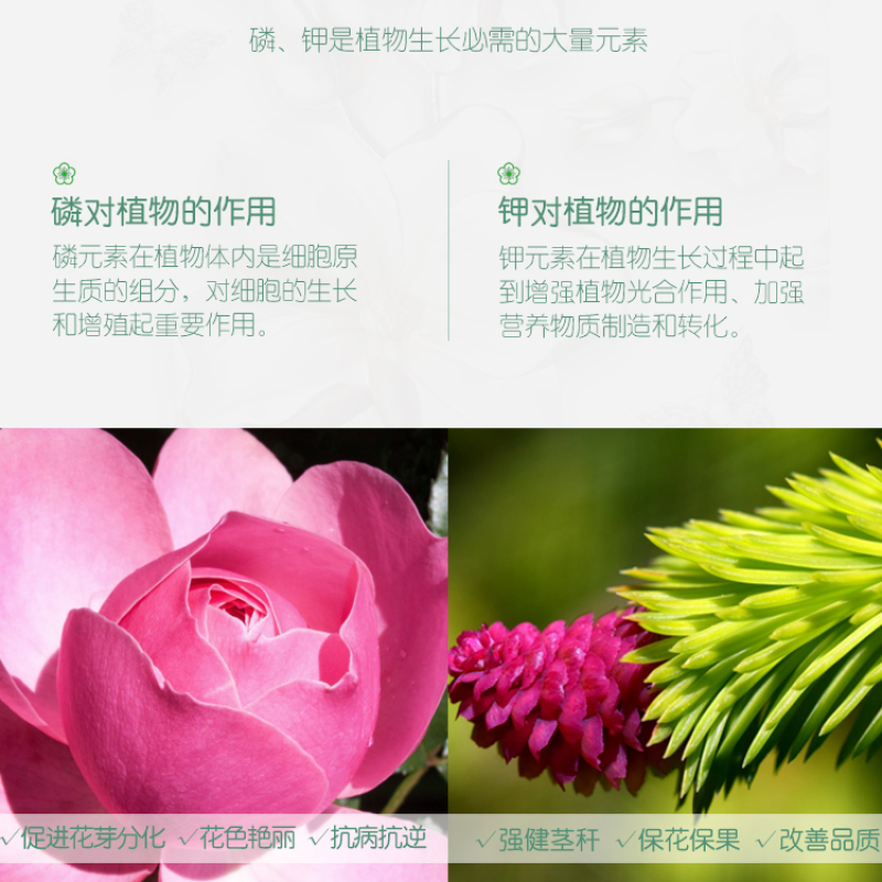99%磷酸二氢钾大量元素水溶肥保花保果膨大增产粉剂速溶型