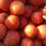 精品硬粉西红柿，专供市场档口，电商平台，社区^_^