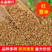 厂家批发贵州袋装25公斤红薏米五谷杂粮干货薏仁米