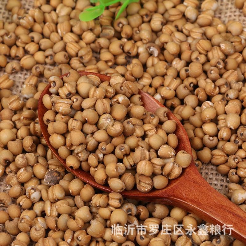 厂家批发贵州袋装25公斤红薏米五谷杂粮干货薏仁米