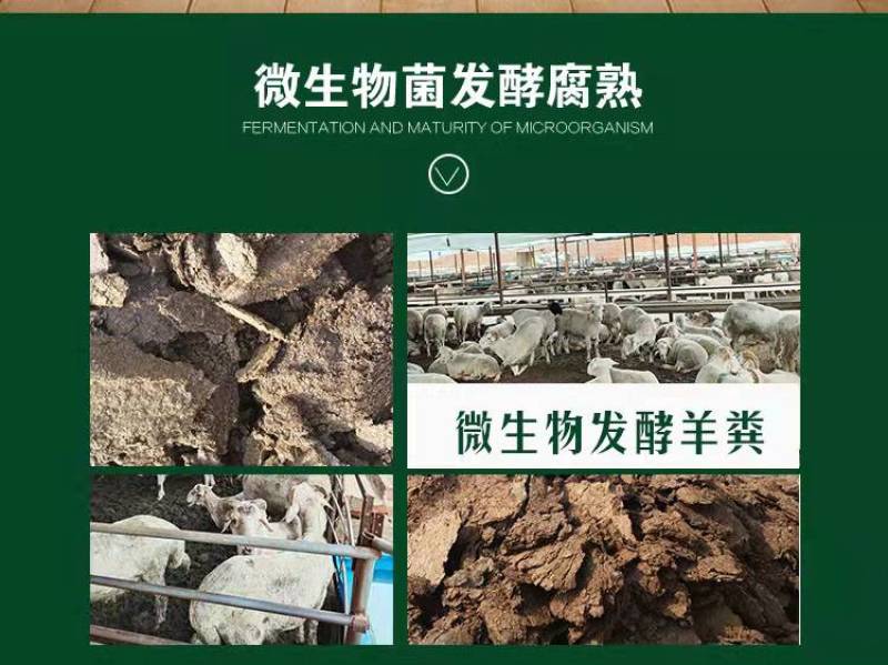 现货批发发酵羊粪有机肥羊粪发酵腐熟无臭味基肥追肥