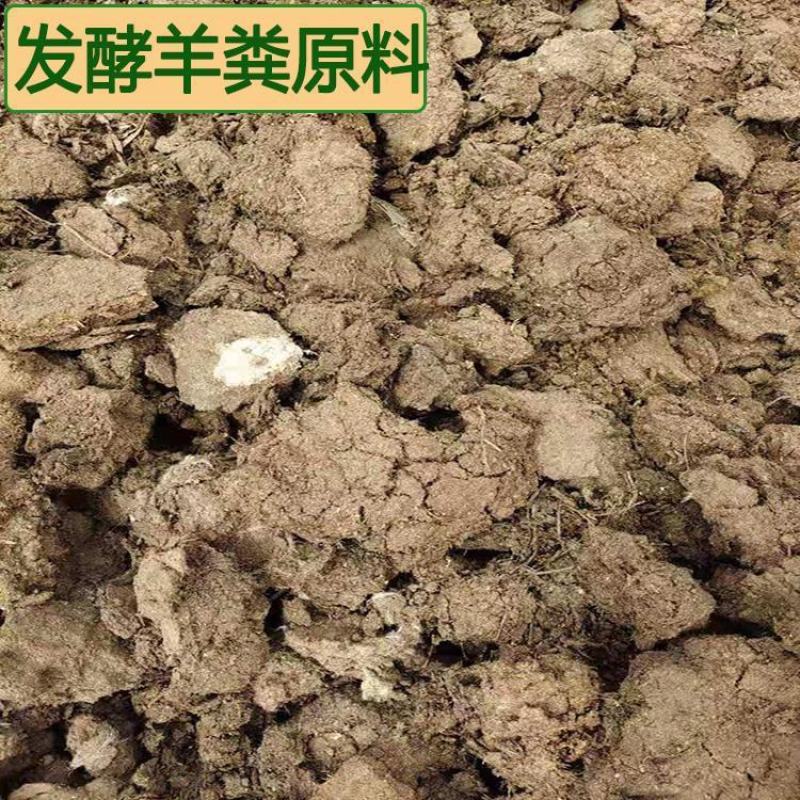 现货批发发酵羊粪有机肥羊粪发酵腐熟无臭味基肥追肥