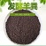 河北羊粪有机肥厂家批发腐熟羊粪茶叶沃甘用羊粪