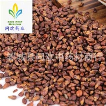 【葡萄籽】@【同欢药材】中药材批发供应规格齐全