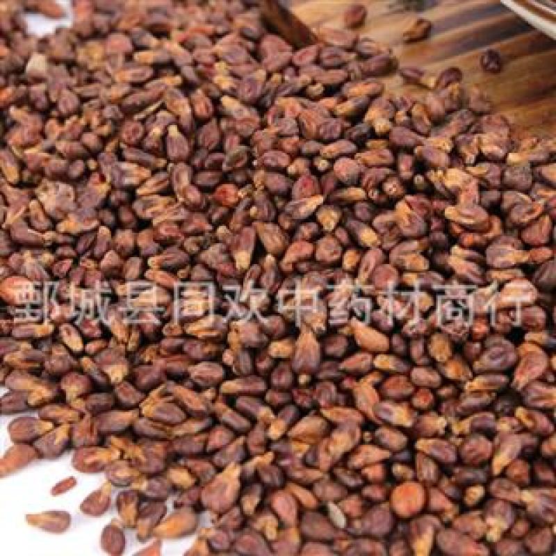 【葡萄籽】@【同欢药材】中药材批发供应规格齐全