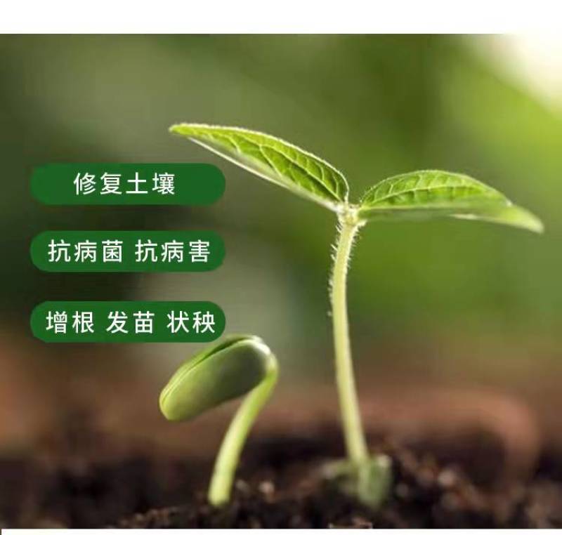 发酵鸡粪有机肥大棚蔬菜果树种植用肥改善土壤