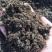 发酵鸡粪有机肥大棚蔬菜果树种植用肥改善土壤