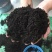 发酵鸡粪有机肥大棚蔬菜果树种植用肥改善土壤