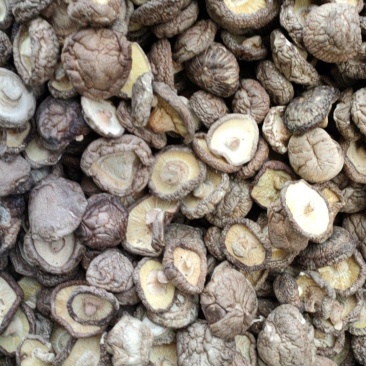 大香菇，是香菇菌盖4直径4厘米肉厚菇脚1厘米以内颜色正常