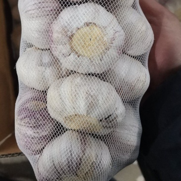 大蒜
