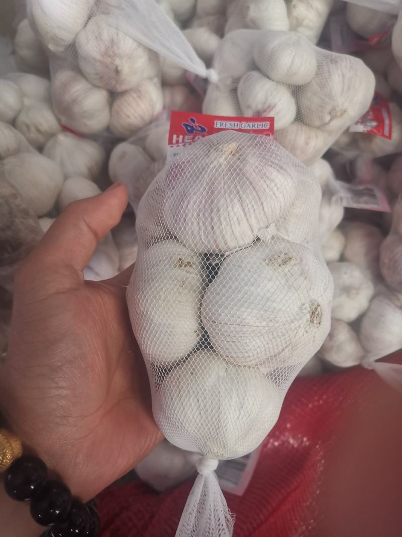 大蒜