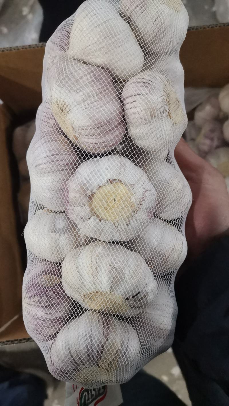 大蒜