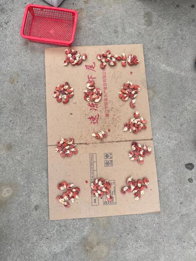 龙虾尾