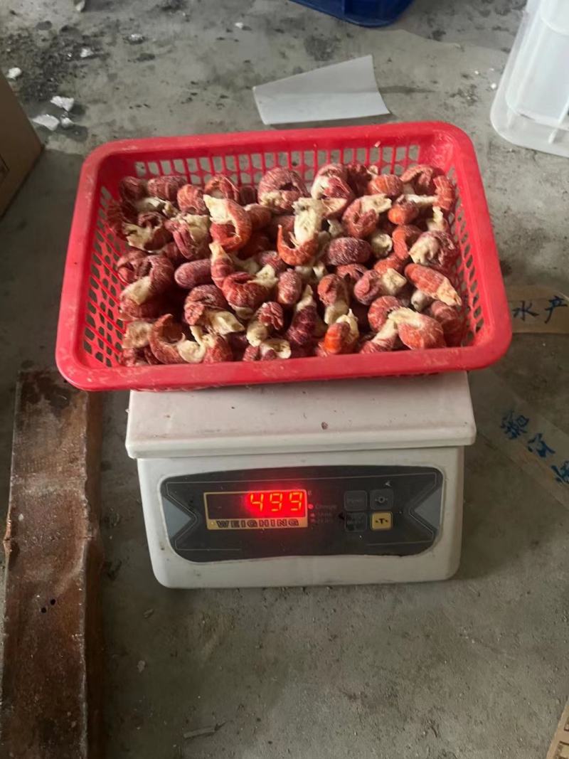 龙虾尾