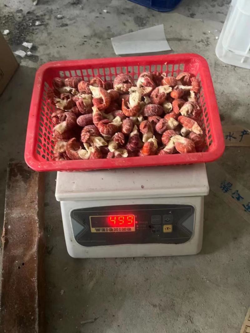 龙虾尾