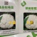 耐热松花菜种子青玉等品种