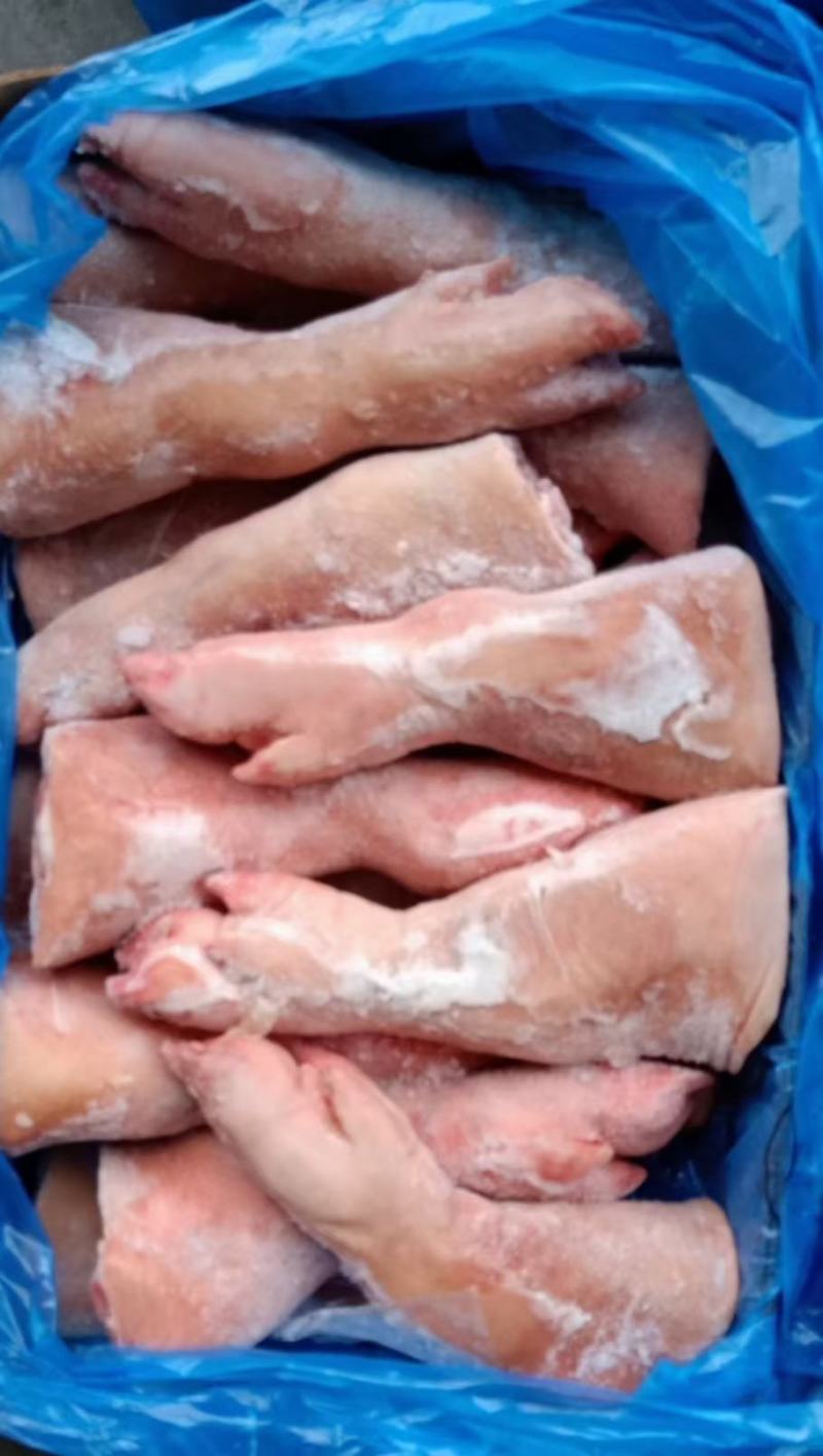 猪手铮，颜色好，正关货，，猪蹄膀，猪手，猪前蹄