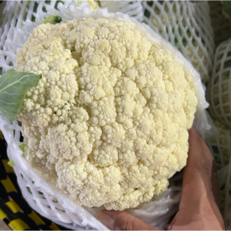 松花菜