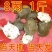 外塘甲鱼活体1只包邮老鳖王八水鱼现抓发货可代发招代理