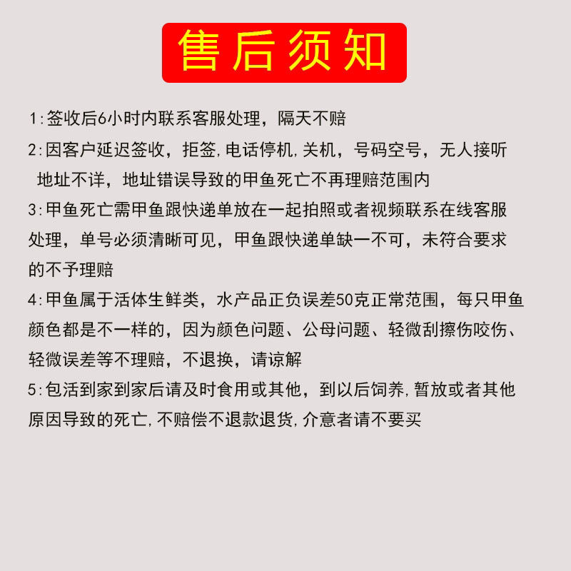 外塘甲鱼活体1只包邮老鳖王八水鱼现抓发货可代发招代理