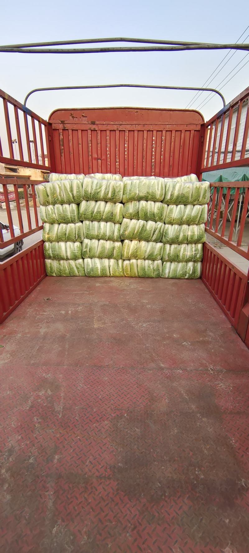 山东大白菜肥城大白菜北京三号白菜大量供应，全国发货